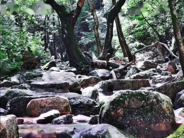 正当防卫3